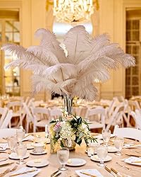 VIJIV Natural Large Ostrich Feathers Bulk 10 Pieces