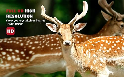 Instruction Manual Usogood Tc20 Trail Camera Manual Usogood WiFi