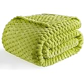 Bnuitland Fruit Green Flannel Throw Blanket (50X40 inches), 300 GSM Fleece Cozy Warm Soft Lightweight Bed Sofa Blanket for Babys and Pets, Suitable for All Seasons