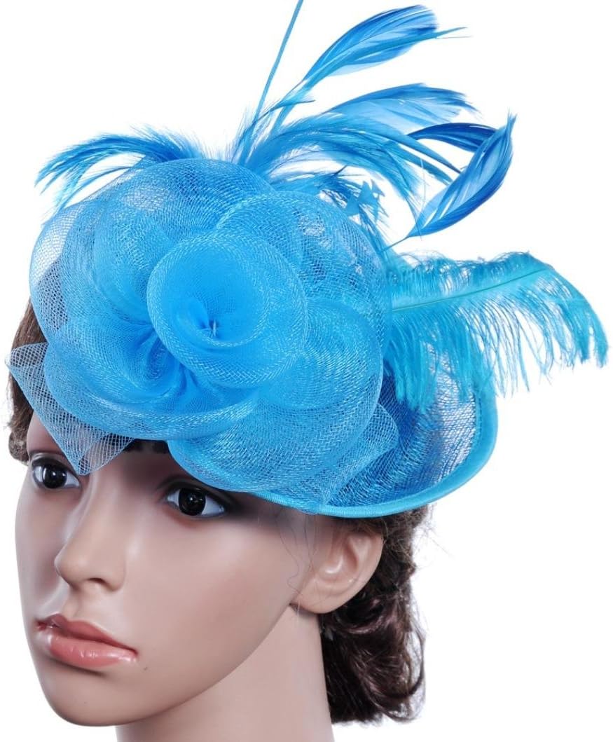 Wedding Party Hat,Wensltd Elegant Womens Feather Mesh Net Sinamay Fascinator Hat