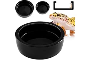 Magtara Reptile Food Dish Bowl - Anti-Escape Ceramic Worm Water Dish Feeder for Mealworm, Superworm, Dubia Roaches, Lizard, Leopard Gecko, Bearded Dragon, Chameleon, Skink, Tegu, Snake (Large, Black)