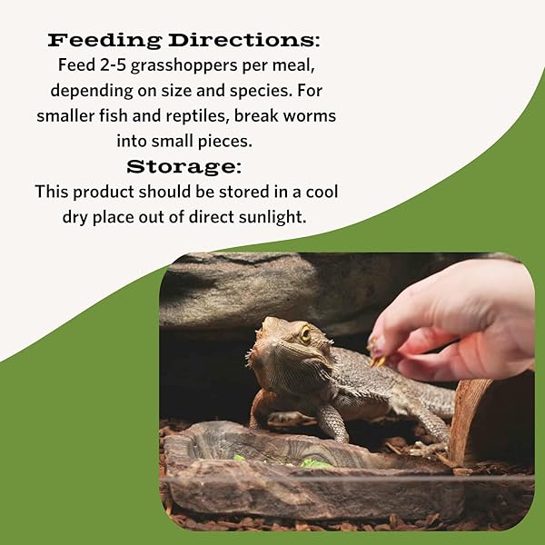 FLUKER’S FREEZE DRIED GRASSHOPPERS, NUTRIENT-PACKED, IDEAL FOR LIZARDS, REPTILES, BIRDS, FISH, HEDGEHOGS, 1.7 OZ