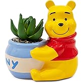 Silver Buffalo Disney Winnie The Pooh Hunny Pot 5-Inch Ceramic Mini Planter with Artificial Succulent | Cute Flower Pot, Faux Indoor Plants