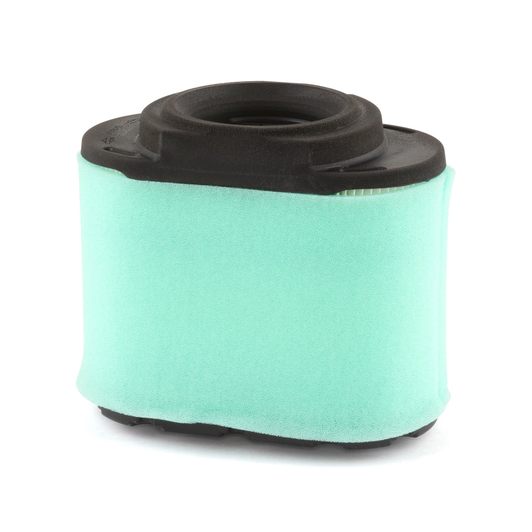 Briggs and Stratton 310195 Filter, Multi-Colour
