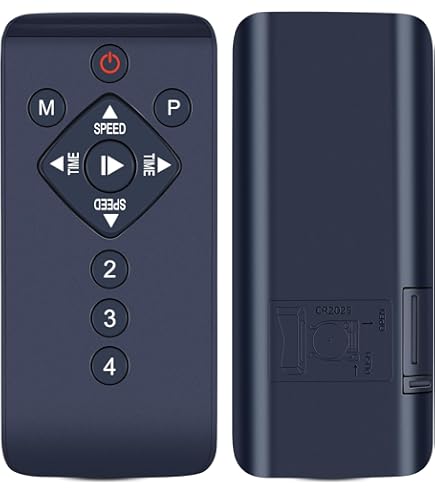 Amazon.com: ZWP Replacement Remote Control Compatible for Acezoe