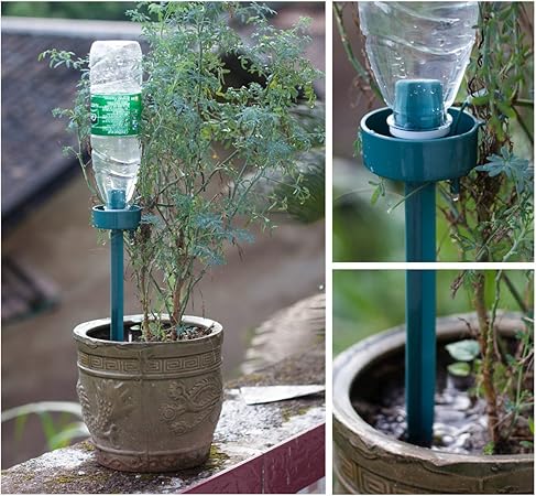 pflanzen bewässerung urlaub plastikflasche