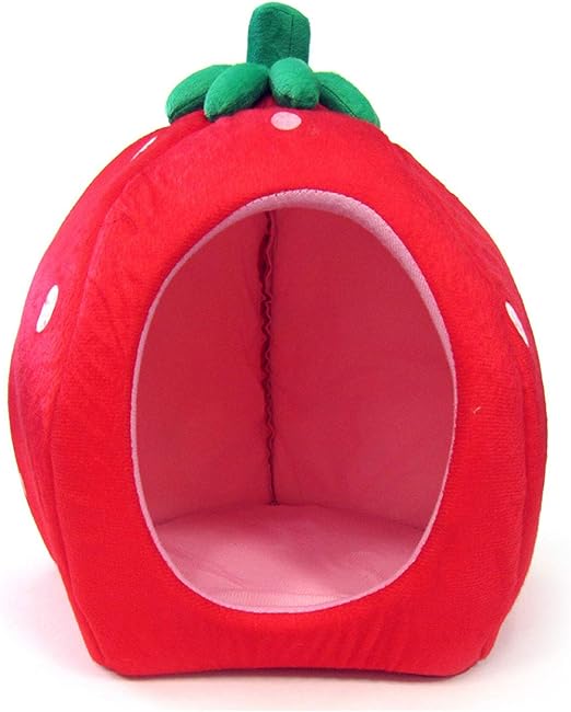strawberry dog bed