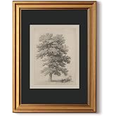 InSimSea Vintage Gold Framed Canvas Wall Art Majestic Oak Tree Illustration Botanic Pritns Farmhouse Pictures Sketch Artwork Shelf Decor Nature-Inspired Room Aesthetic for Bathroom Bedroom 12x16in