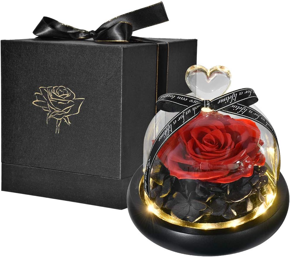 Hela Handmade Preserved Flower Eternal Rose with LED Lights and Gift Box for Gifts Present - 5.1inch (1 Rose Red)