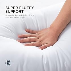 Acanva Throw Pillow Inserts for Bed Couch
