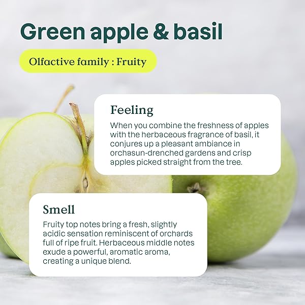 ATTITUDE DISH SOAP, EWG VERIFIED, PLANT-BASED & VEGAN DISHWASHING LIQUID, NATURALLY DERIVED, GREEN APPLE AND BASIL SCENT, 23.7 FL OZ