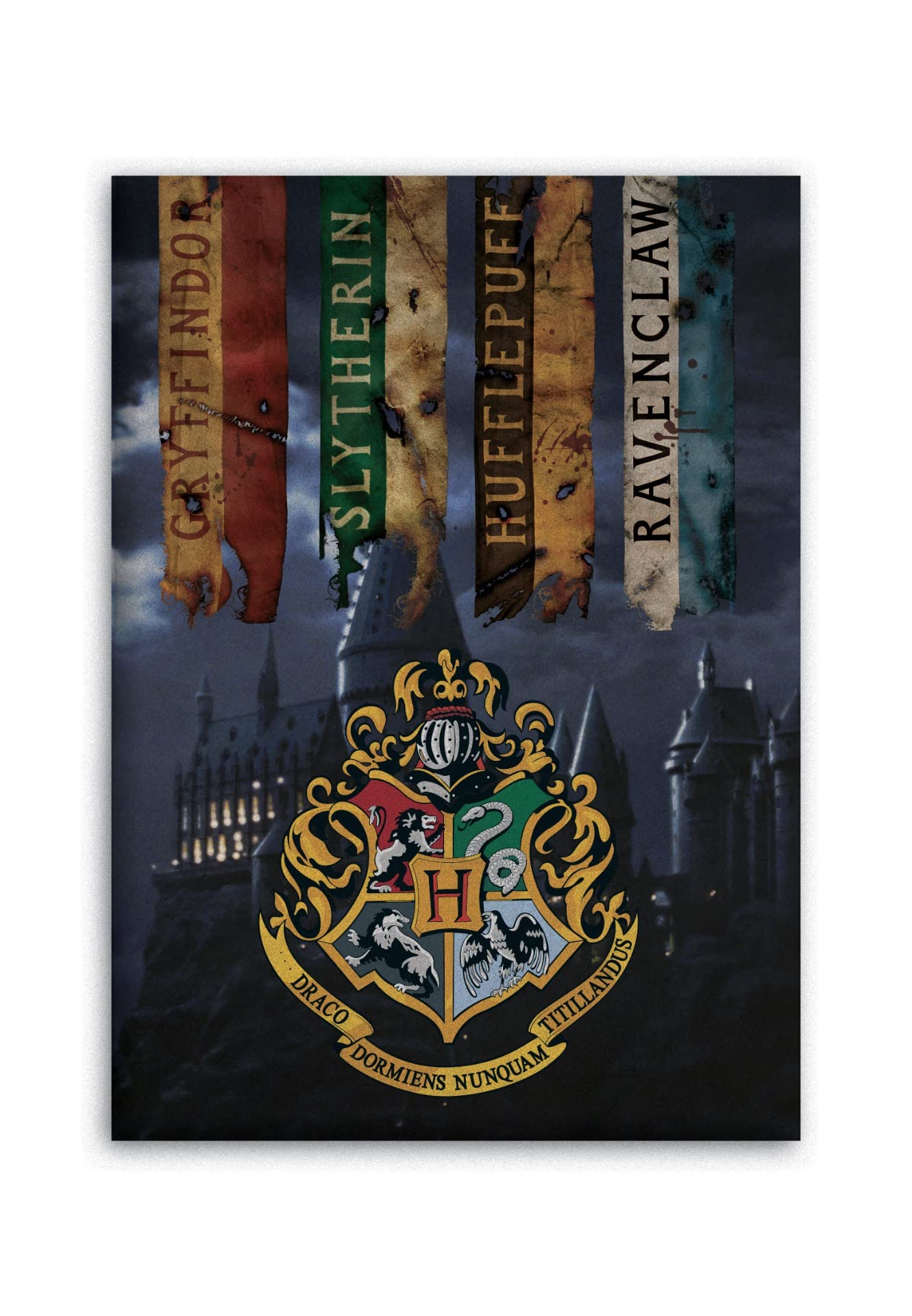 AYMAX S.P.R.L Compatible with Harry Potter Fleece Blanket, 100 x 140 cm, Microfibre