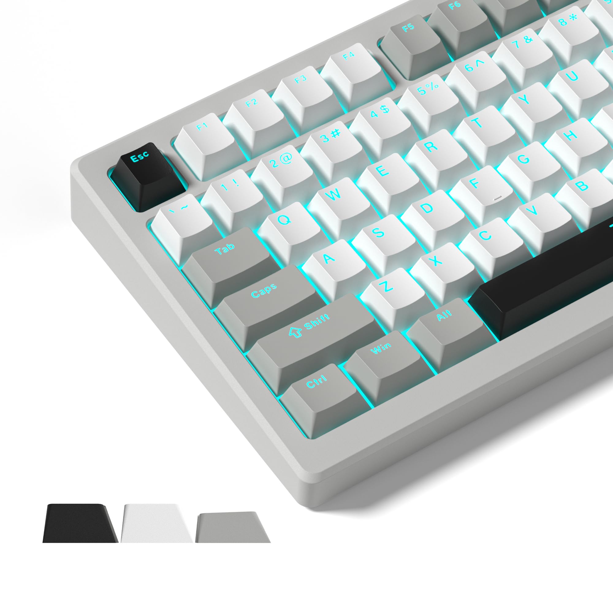 Mua Womier Shine Through Keycaps, PBT Keycaps 60 65 75 100 Percent ...