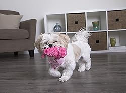 goDog Just for Me Flying Pig Checkers with Chew