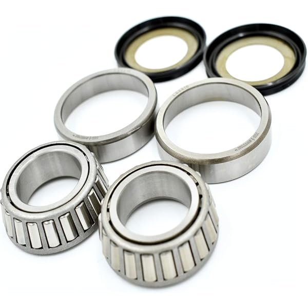 FLSTN Softail Deluxe _ 2017 _ Harley Davidson_ Steering Stem Bearing & Seal Kit