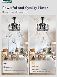 LEDIARY 16in Caged Fandelier Ceiling Fan with