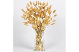 Brown Bunny Tails Dried Flowers Bulk, 110-120pcs Brown Rabbit Tails Dried Grass ,XMFAYUAN Small Pampas Grass Bouquet Natural Dried Plant for Home Decor and Gifting (16-17")