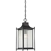 Savoy House 5-3455-BK Dunnmore Modern Farmhouse Clear Glass Outdoor Hanging Lantern, 1-Light 75 Watt, 19" H x 8" W, Black
