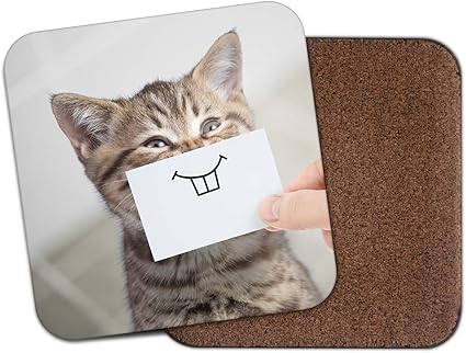 1 X Dessous De Verre Humoristique Pour Chat Chat Humoristique Mignon Maman Tante Sœur Cadeau Amusant Pour Animal De Compagnie Amazon Fr Cuisine Maison