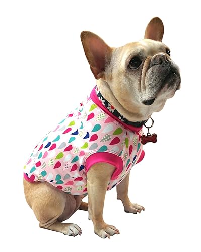 Service Dog Clothes Best Product Reviews
