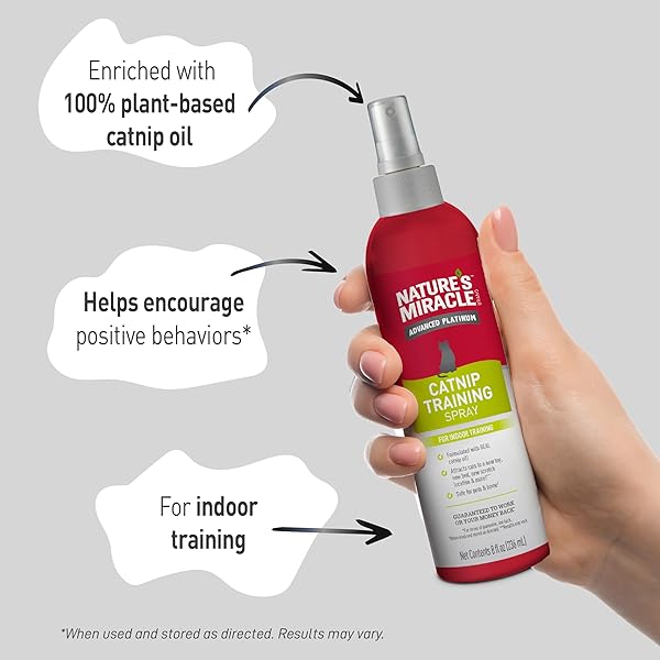 NATURE’S MIRACLE ADVANCED CATNIP TRAINING SPRAY WITH REAL CATNIP OIL ATTRACTS CATS AND ENCOURAGES POSITIVE BEHAVIOR, 8 OUNCES
