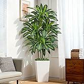 Keeplush 6FT Artificial Dracaena Tree - High-Density Foliage Fake Plant with White Tall Planter - Faux Yucca Floor Plant for Home Office Decor Indoor