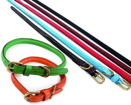 amazon rolled leather dog collar