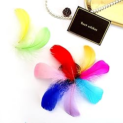 300pcs Colorful Feathers 2-3 Inches Bulk Feathers