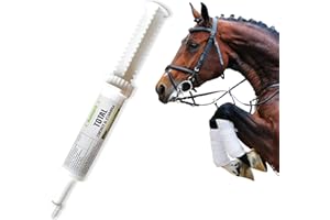 Ramard Total Energy and Stamina Support with B Vitamins & Amino Acids, Maximizes Oxygen Capacity, Peak Performance in Competition or Workouts, Powerful Vasodilator, Oral Gel, 15 cc Syringe, 1-Pack