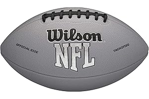 Wilson NFL Recreational Footballs