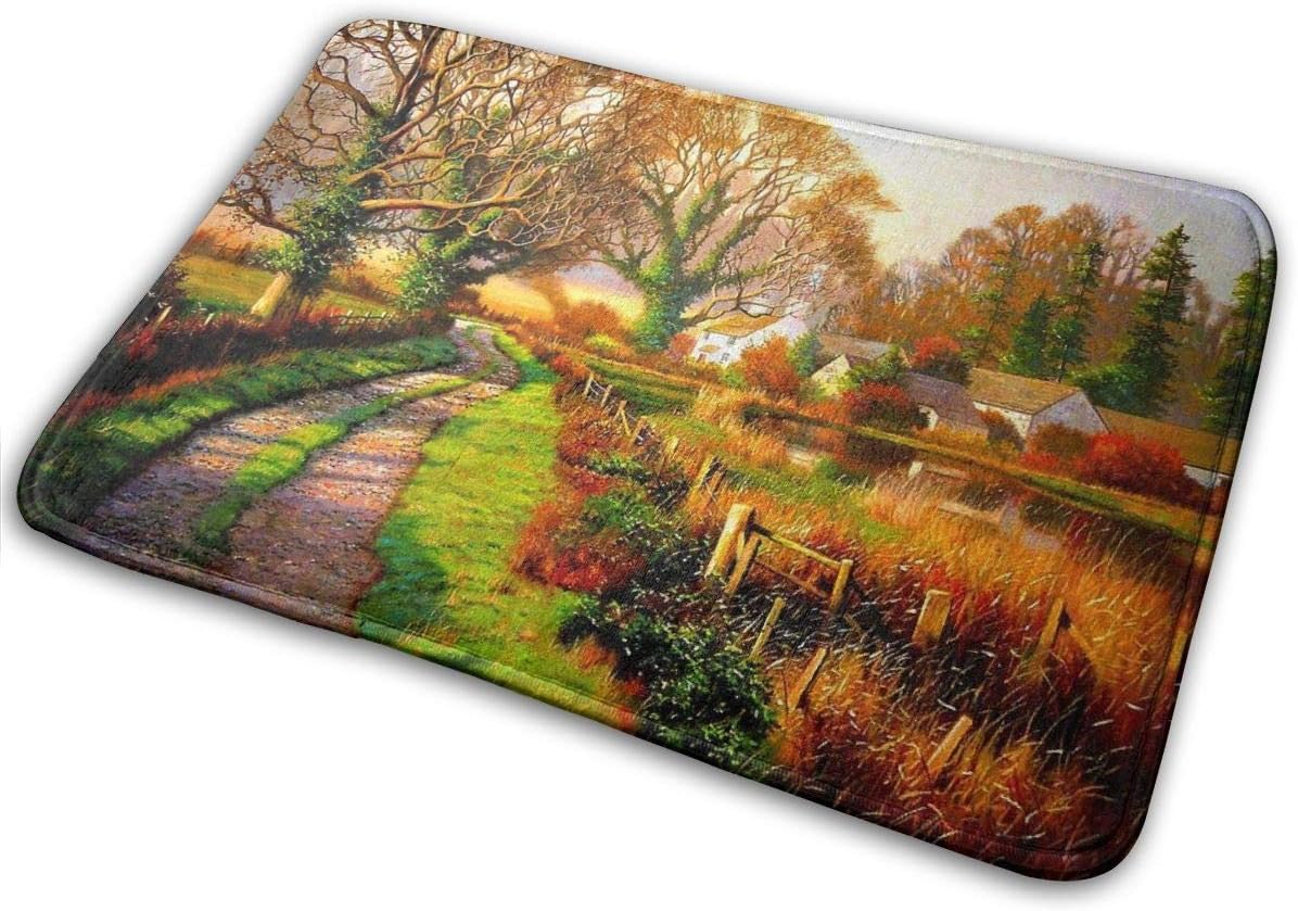 Tapete De Ducha,Felpudo Absorbente,Alfombrilla De Puerta Delantera