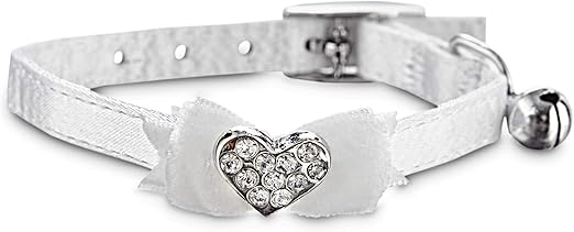 bond & co kitten collar