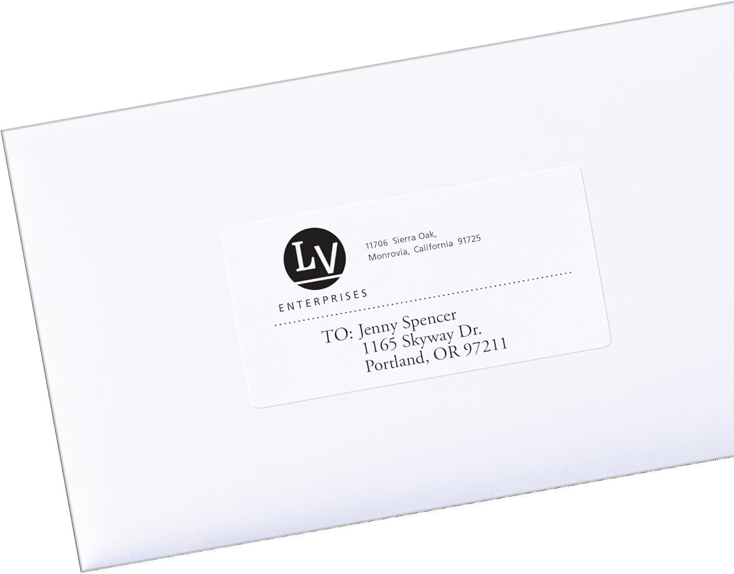 AVERY White EcoFriendly Shipping Labels, 2 x 4 Inches, Box of 1000 (48163): Office Products