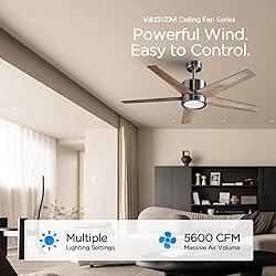 VAGIZM Ceiling Fan 52'' with Light: Modern Remote