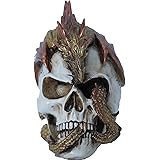 71Vhb4jmUFL. AC UL160 SR160,160 Voodoo Priests and Priestesses: Guardians of Tradition or Agents of Magic?