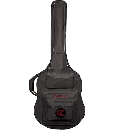 Amazon.com: Ibanez PowerPad IABB540 Acoustic Bass Bag - Black
