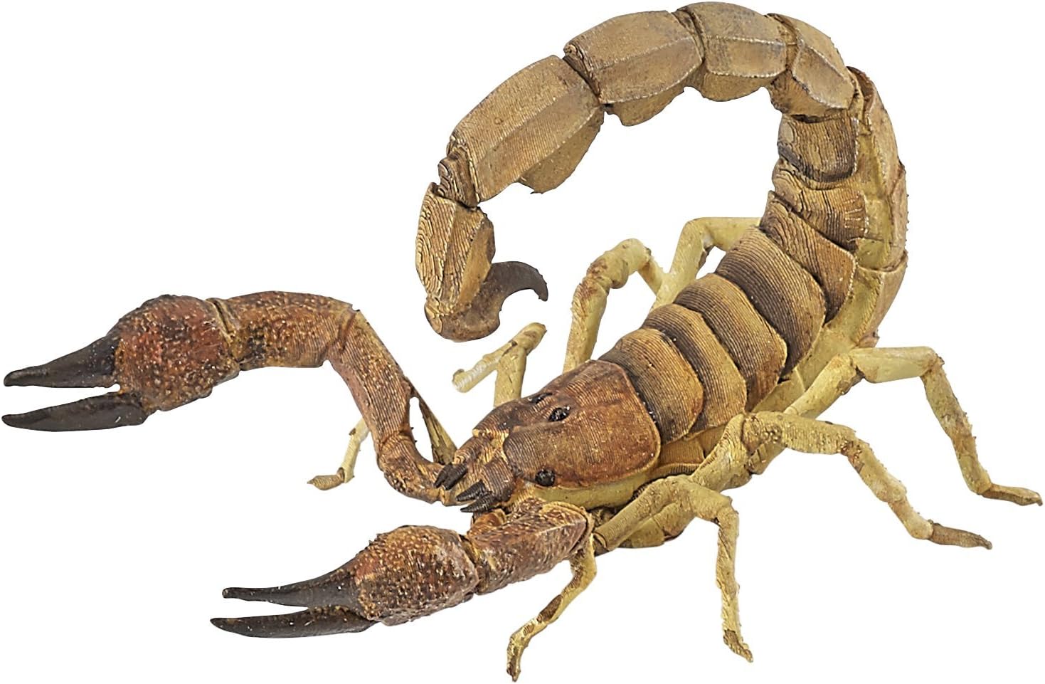 Papo Scorpion Figure, Multicolor