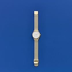 Skagen Women's Signatur Lille Two-Hand Gold