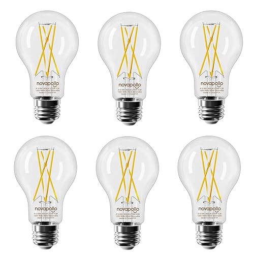 novapollo E26 Edison Bulbs 60Watt, Dimmable A19 LED Bulb, 800 Lumens High Brightness 2700K Warm White, C80+ CRI Vintage Light Bulbs, Clear Glass, 6 Pack
