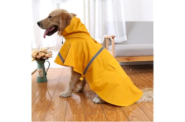 amazon advert dog raincoat