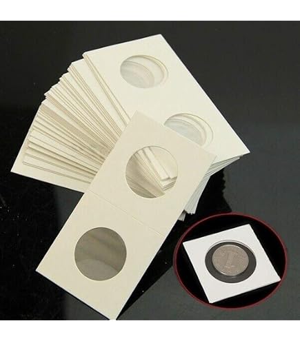 Lot 100 Pochettes Carton Pour Pièces 29 Mm – Protection Transparente – Antipoussière – Écrire Informations – 100x49 Mm