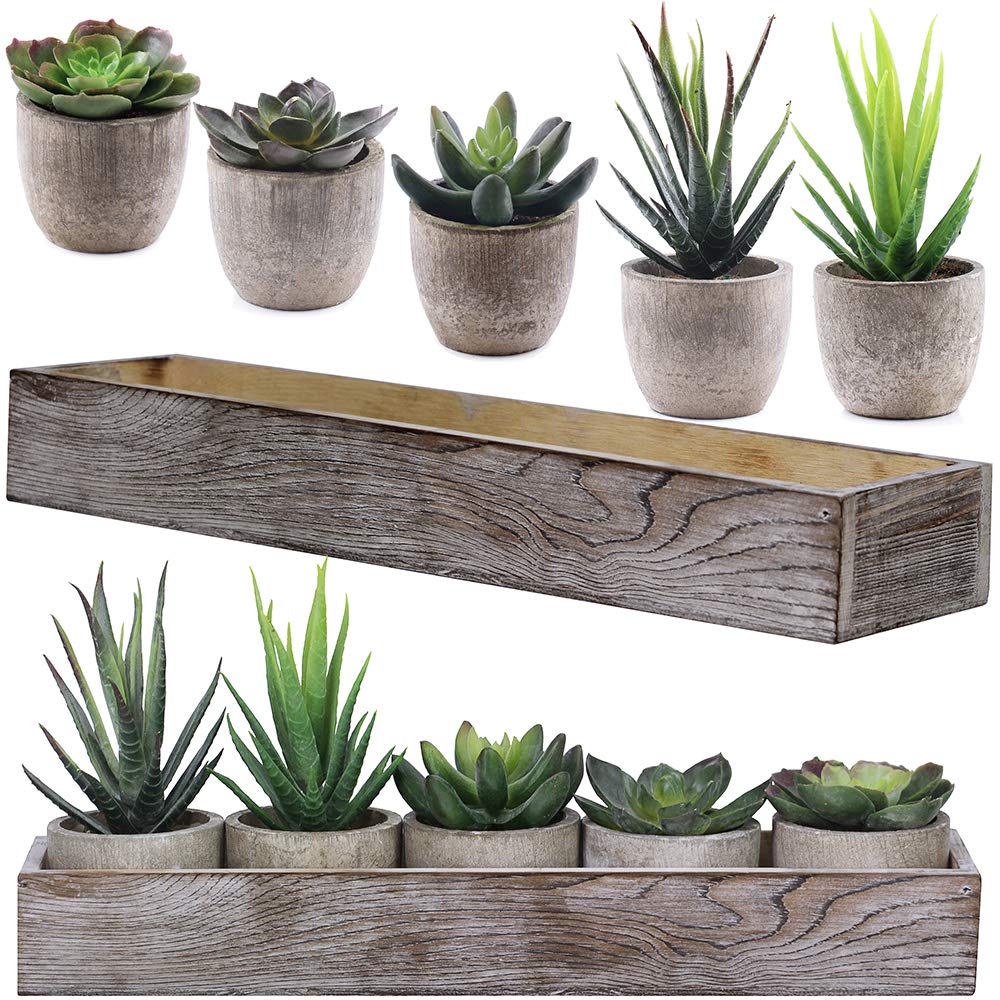 Supla Set of 5 Mini Fake Succulent Cactus Aloe Potted Plant