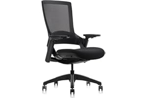 CLATINA Swivel Executive Chair, Adjustable Ergonomic Computer Chair with 3D Armrest and Lumbar Support, Mesh Backrest Task Chair for Home Office Conference Room