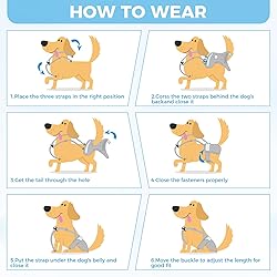 Washable Female Dog Diaper with Suspender - 3 Pack