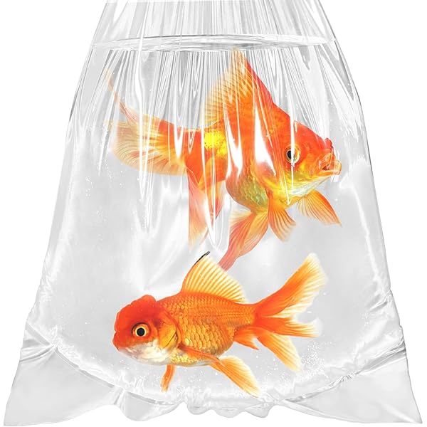 fish福袋　FL clear Amazon.com: APQ Supply Clear Plastic Fish Bags, 10 x 20