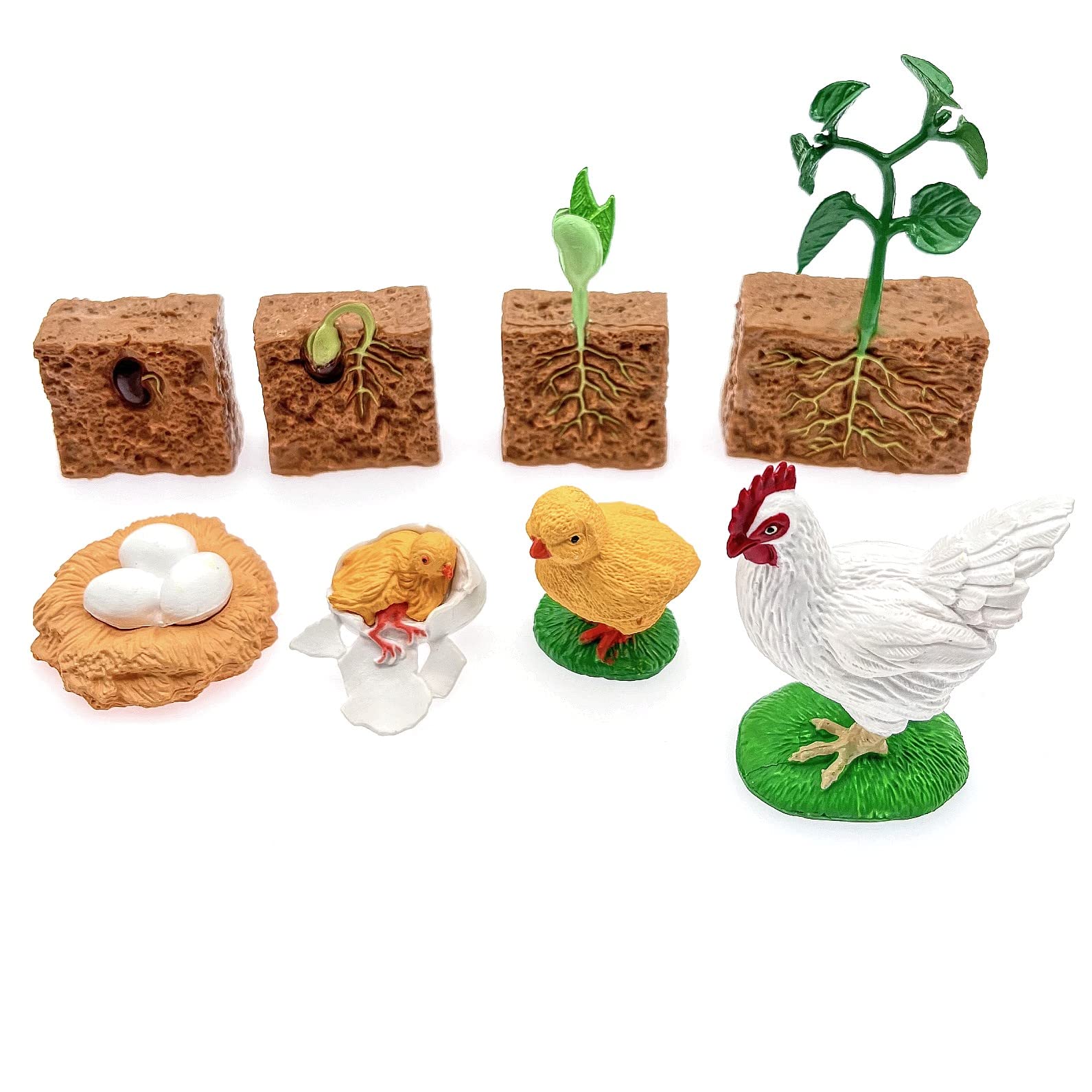 JZK 2 sets Life cycle stages figures of a chicken and plant, bean plant life cycle, chicken life cycle models, animal life cycle toys, egg to chick life cycle, early educational toys
