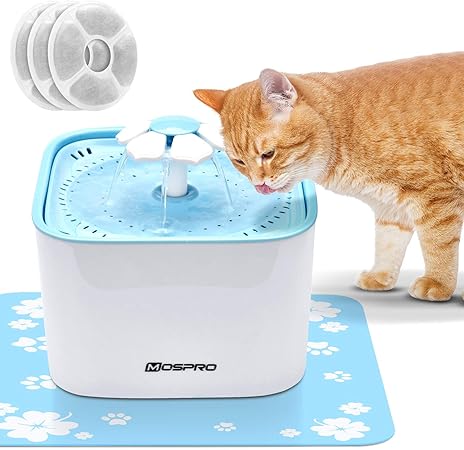 orange mackerel tabby cat