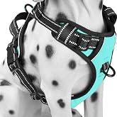 PoyPet No Pull Dog Harness Medium, Reflective Vest with Front Clip &amp; Handle | Easy On/Off, No Choke, Adjustable, 2 Leash D-rings, Soft Padded, Breathable, Oxford, for Walking Training, M, Mint Blue