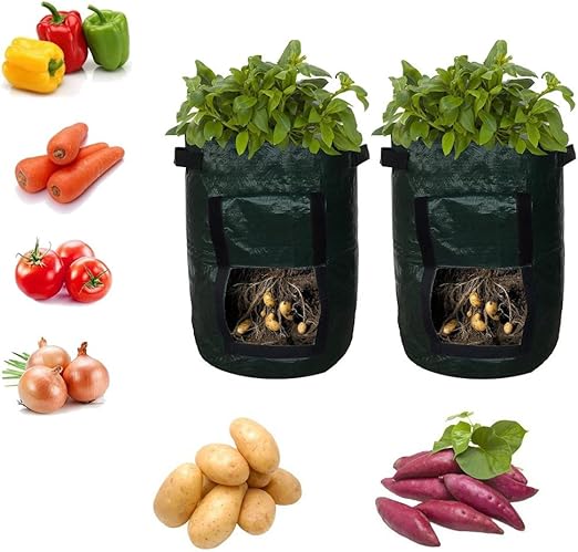 Tefamore Maceta Textil no Tejido Patatas Sacos para Plantas con ...