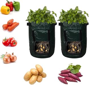 Tefamore Maceta Textil no Tejido Patatas Sacos para Plantas con ...